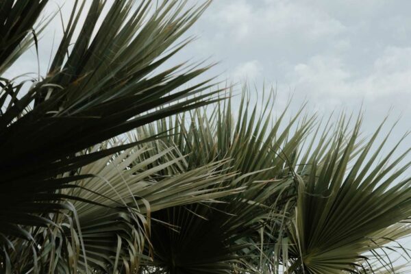 hyperstay-hospitality-ponte-villa-nafpaktos-16