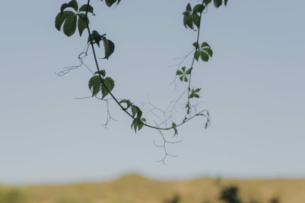 countryside-home (2)