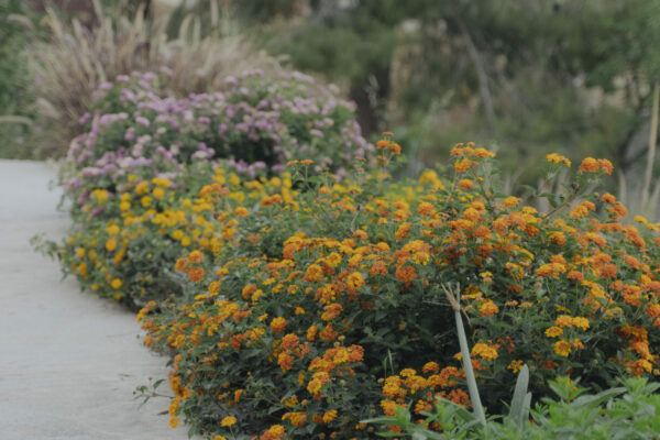 countryside-home (3)