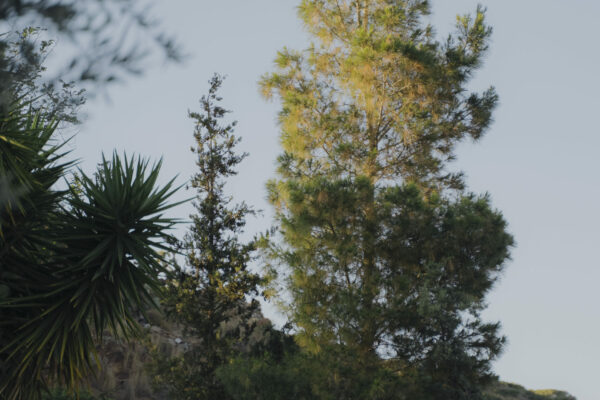 countryside-home (4)