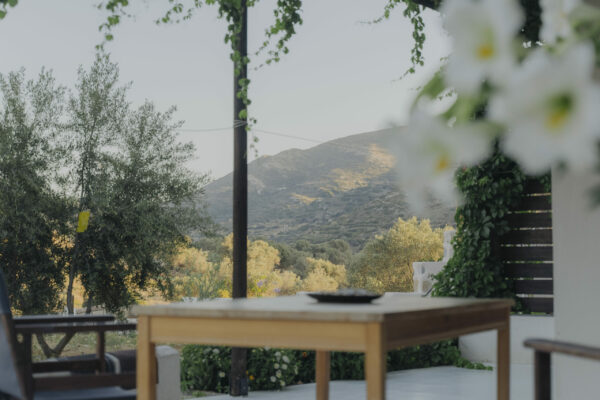 countryside-home (5)