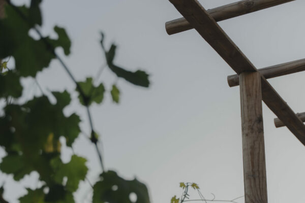 countryside-nest (7)