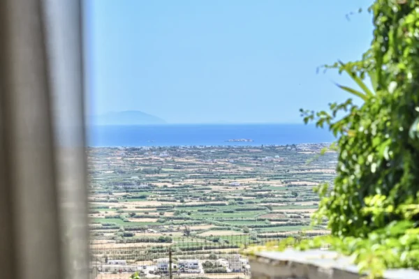 εικόνα_Viber_2025-04-08_22-43-46-325